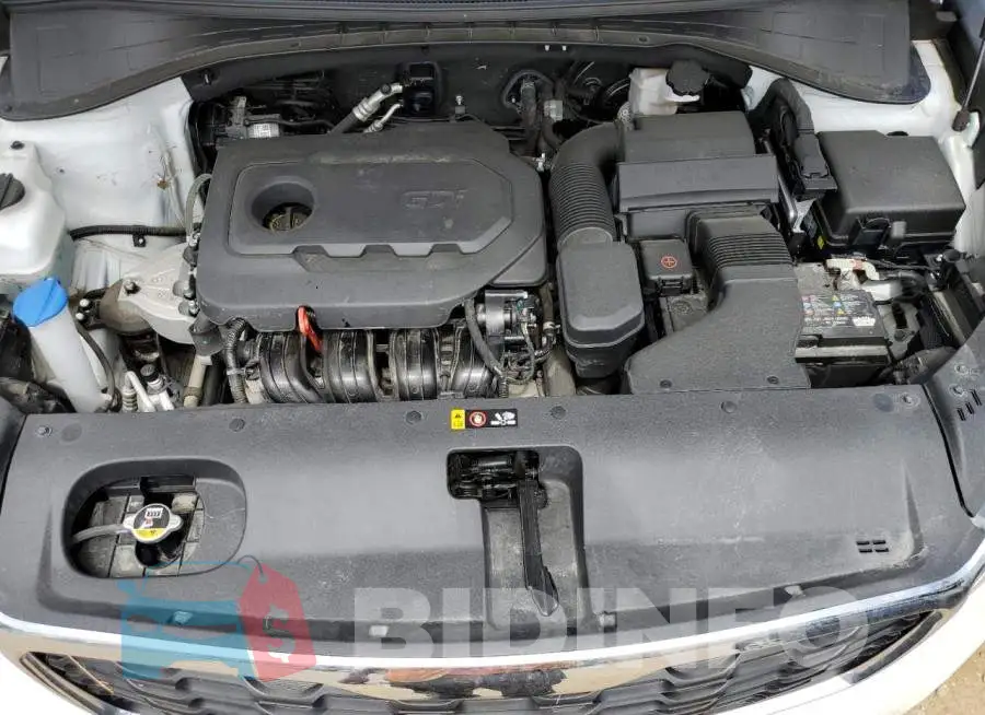 5XYPG4A31KG605863 Photo# 7
