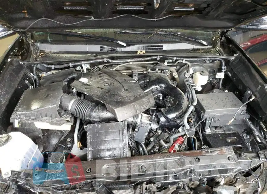 3TMCZ5AN3LM305066 Photo# 12