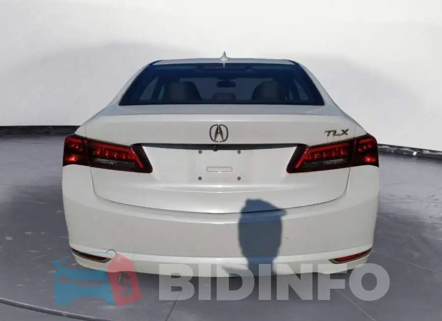 19UUB1F33FA013302 Photo# 6