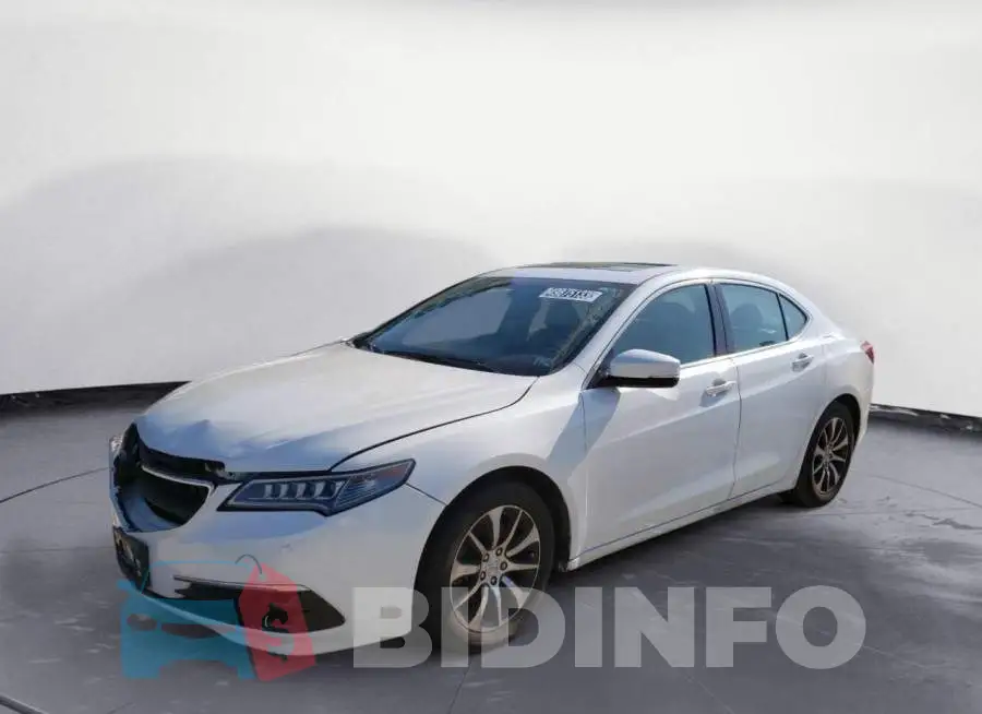 19UUB1F33FA013302 Photo# 1