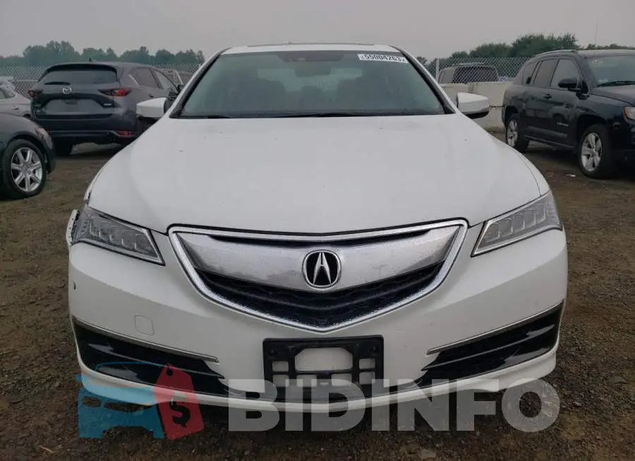 19UUB1F57FA024529 Photo# 5