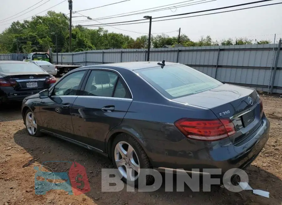 WDDHF8JB3GB225016 Photo# 2