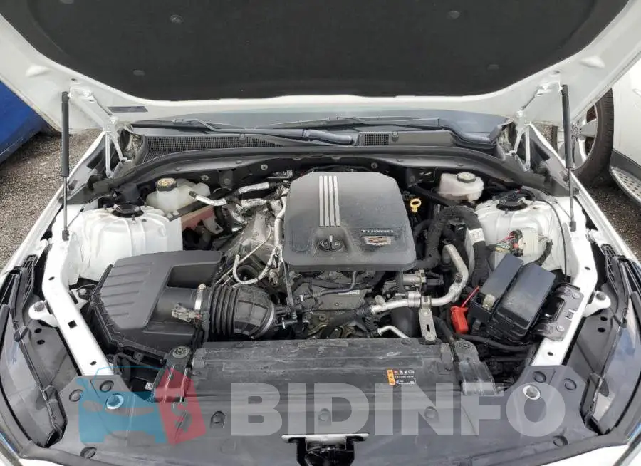 1G6DN5RK6L0122714 Photo# 11
