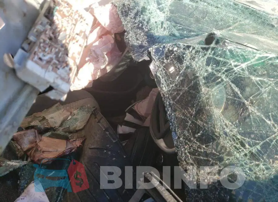 1G1JB5SH2J4133750 Photo# 8