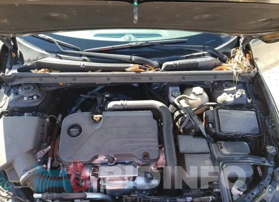 1G1ZB5ST2LF155682 Photo# 11