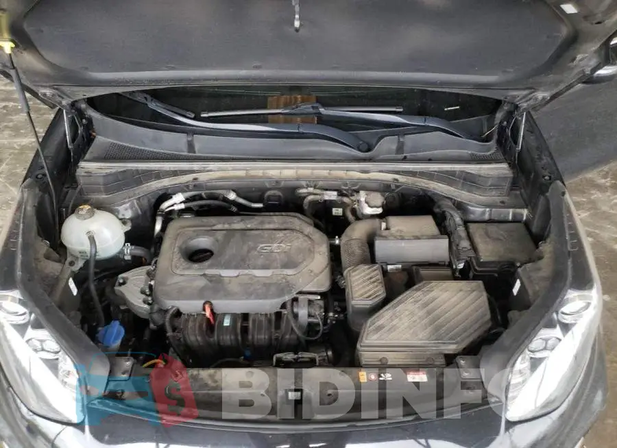 KNDPN3AC9L7645378 Photo# 12
