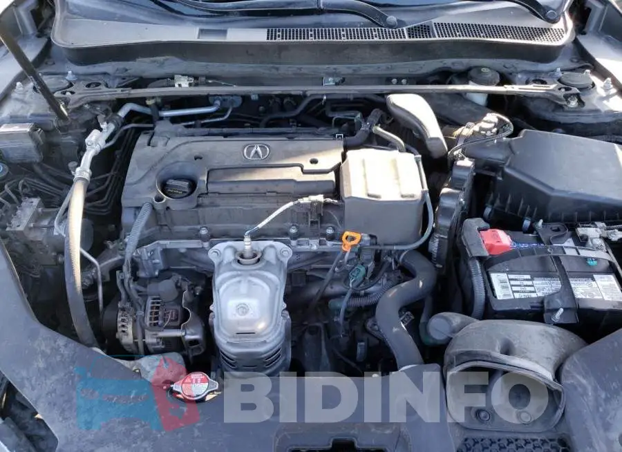 19UUB1F36KA000215 Photo# 11