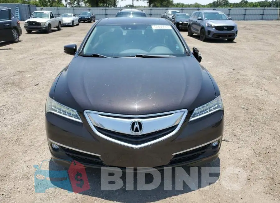 19UUB1F50FA022573 Photo# 5