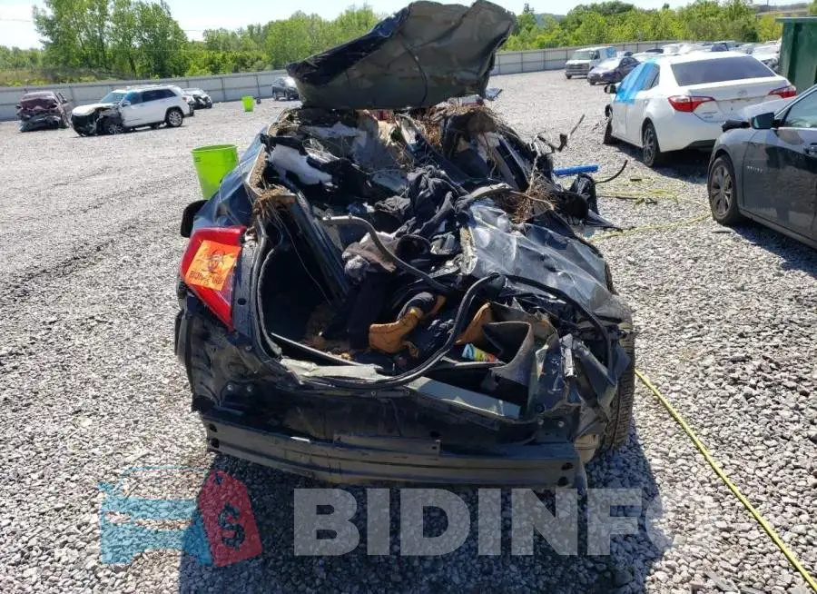 19XFC1F78HE007518 Photo# 6