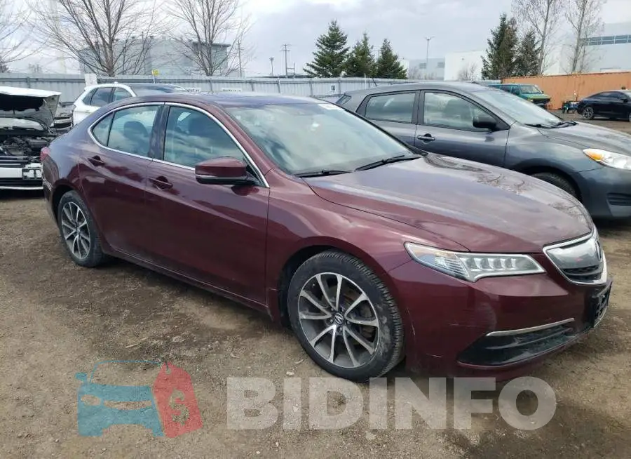19UUB3F53FA803020 Photo# 4