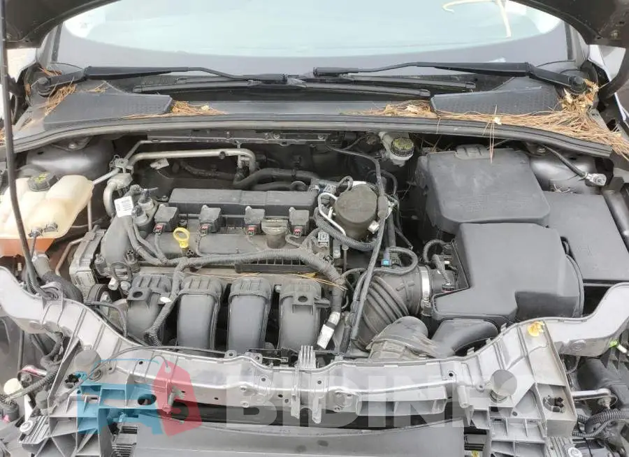 1FADP3K20EL332206 Photo# 11