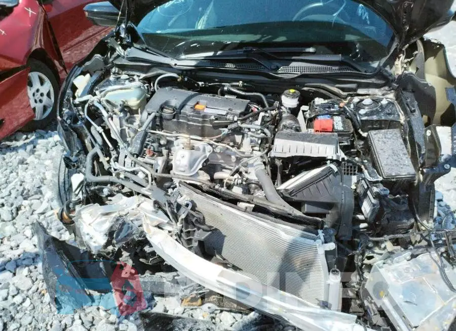 19XFC2F85LE023974 Photo# 7