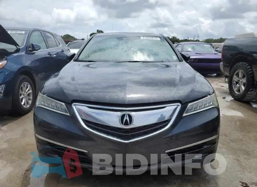 19UUB2F57GA010881 Photo# 5