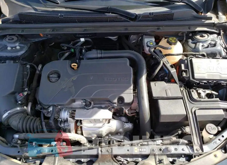 1G1ZD5ST5LF101738 Photo# 11