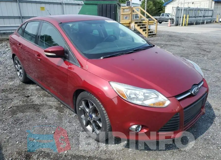 1FADP3F22EL257583 Photo# 4