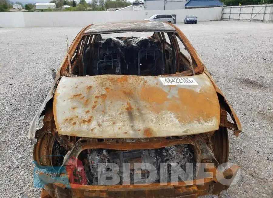 KNADM4A36G6576010 Photo# 5