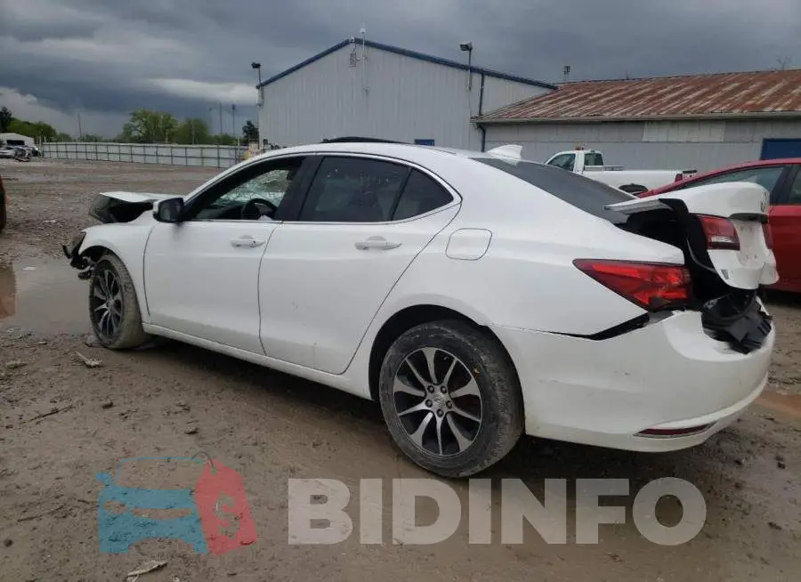19UUB1F57FA017113 Photo# 2