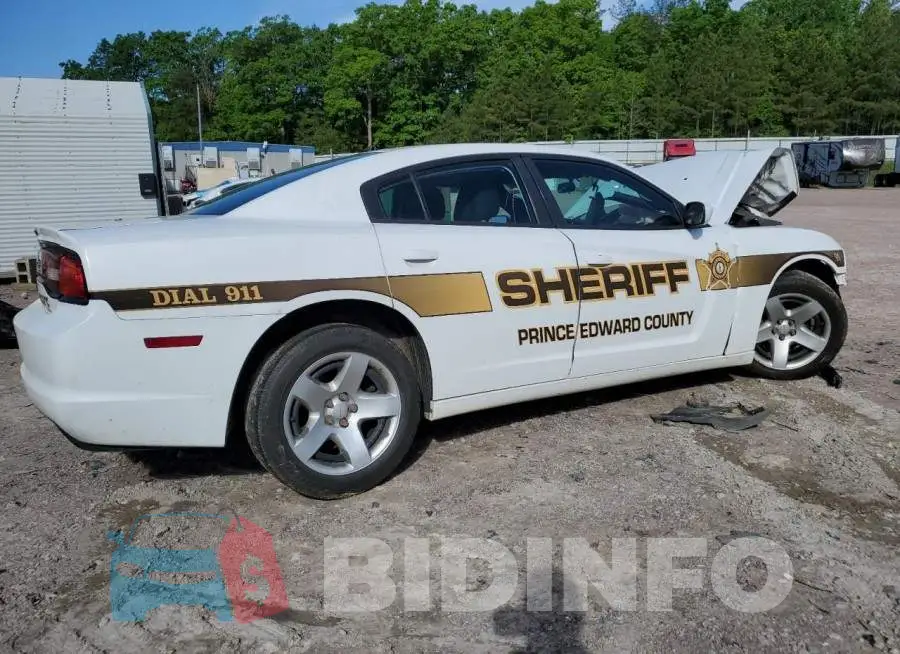 2C3CDXAT5EH142824 Photo# 3
