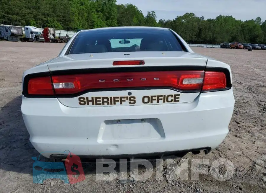2C3CDXAT5EH142824 Photo# 6
