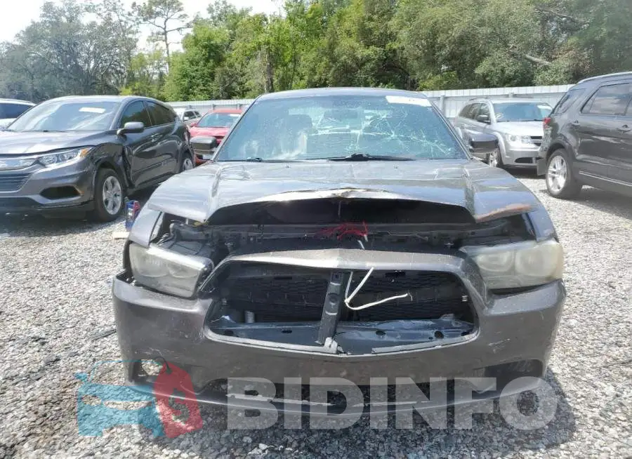 2C3CDXBG1EH131529 Photo# 5