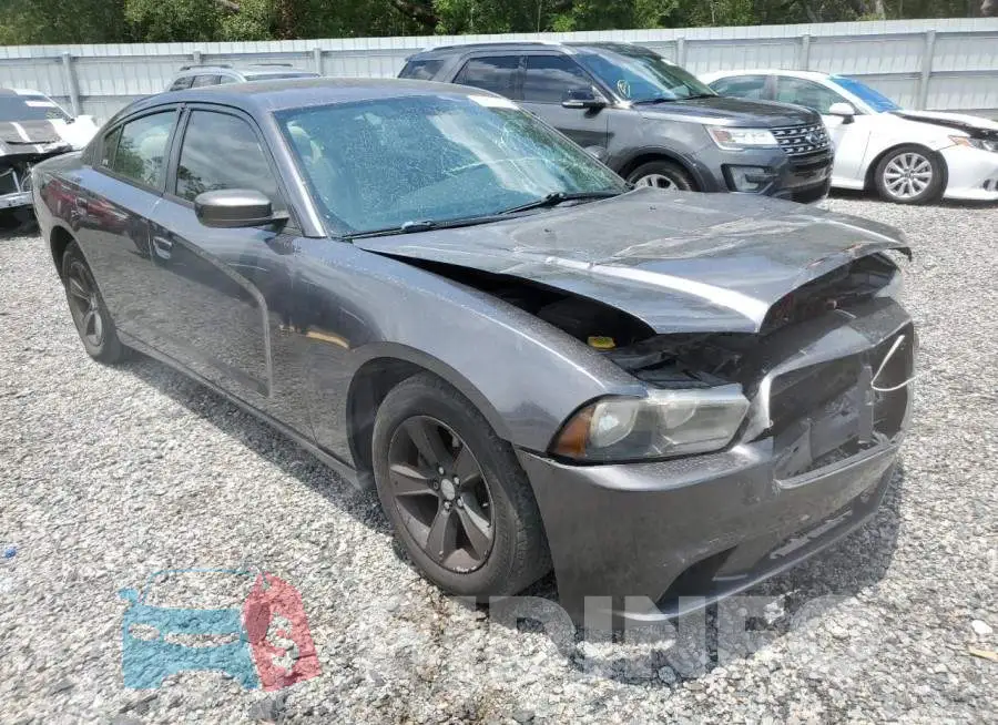 2C3CDXBG1EH131529 Photo# 4