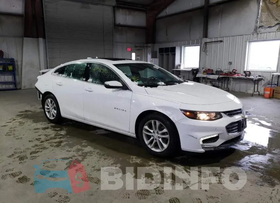 1G1ZJ5SU2GF342826 Photo# 4