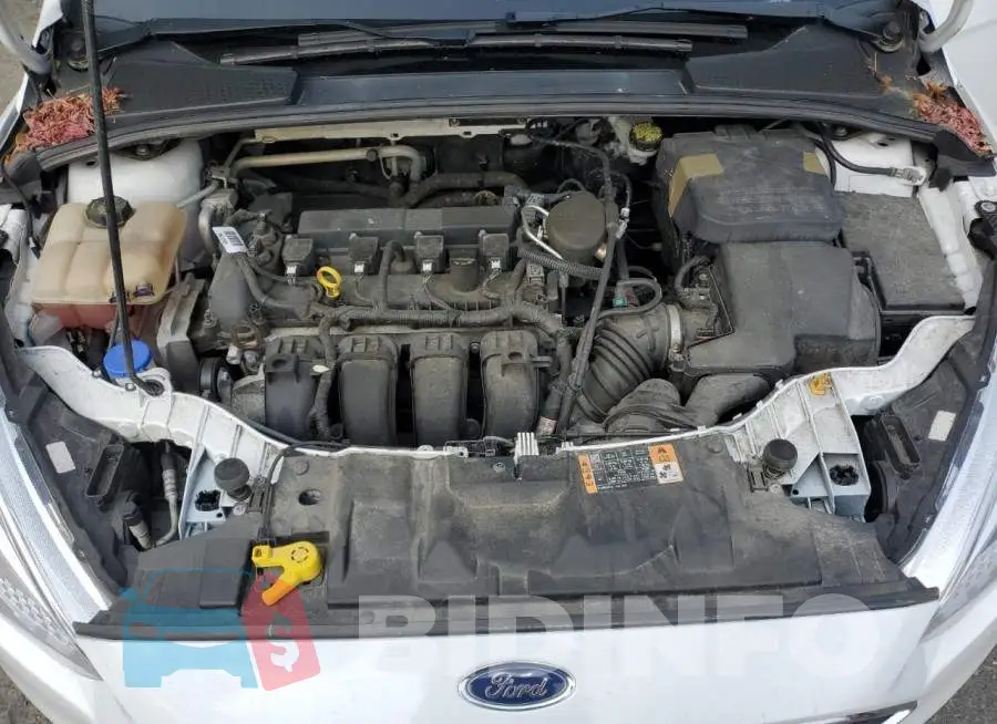 1FADP3K25GL204773 Photo# 11