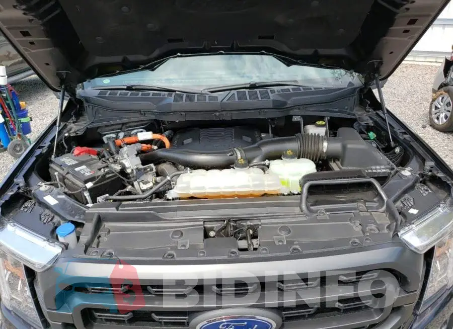 1FTFW1ED8MFC98844 Photo# 11