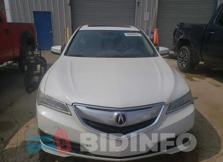 19UUB1F52FA019240 Photo# 5
