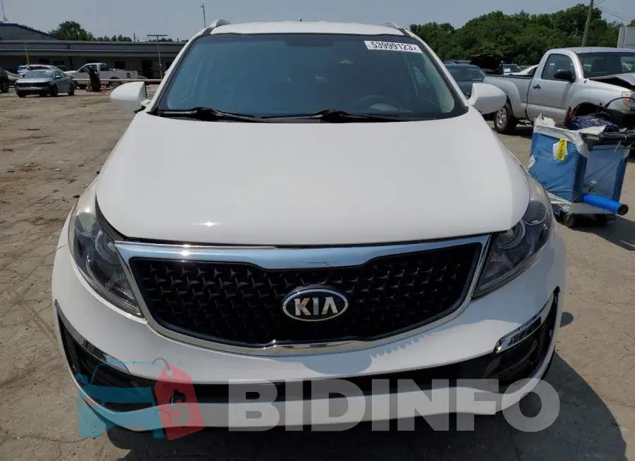 KNDPC3AC7G7844005 Photo# 5