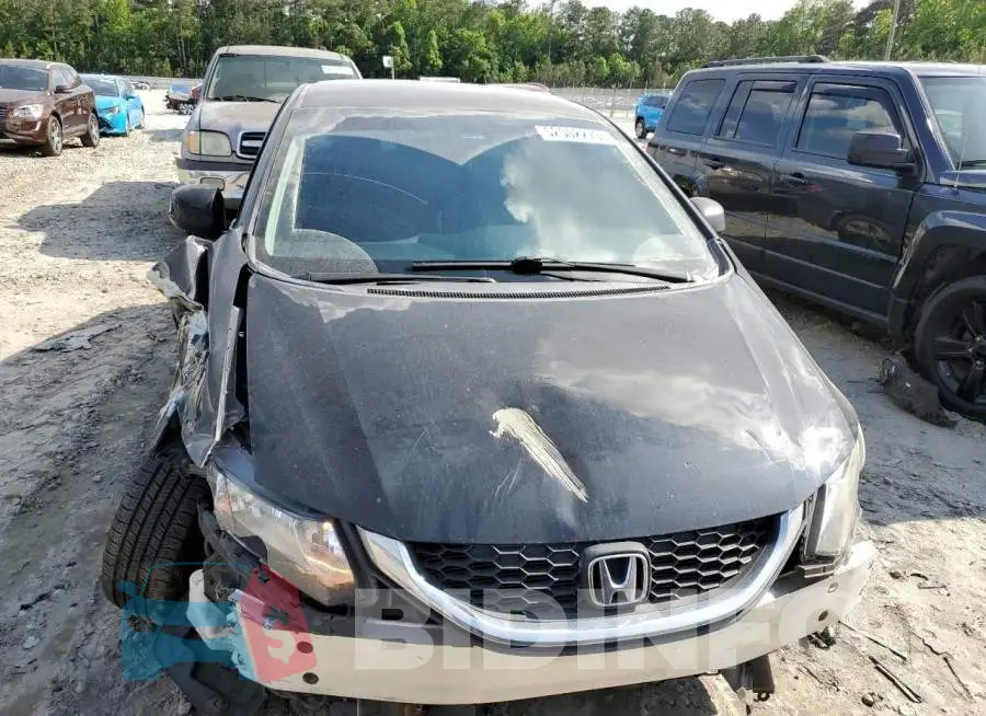 19XFB2F51FE037206 Photo# 5