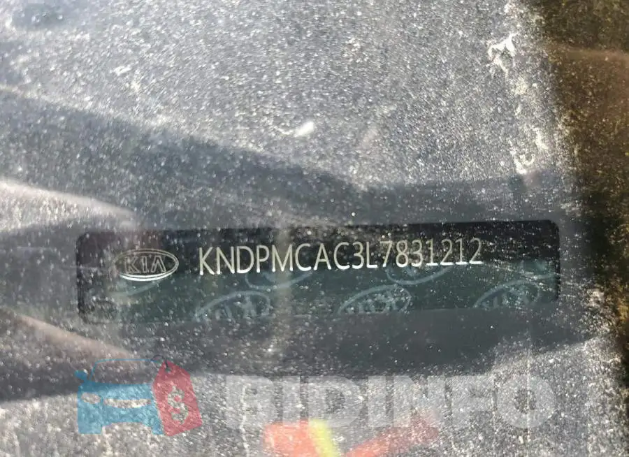 KNDPMCAC3L7831212 Photo# 13