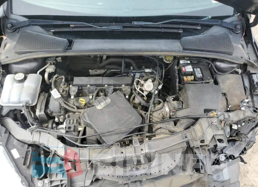 1FADP3F22GL367861 Photo# 11