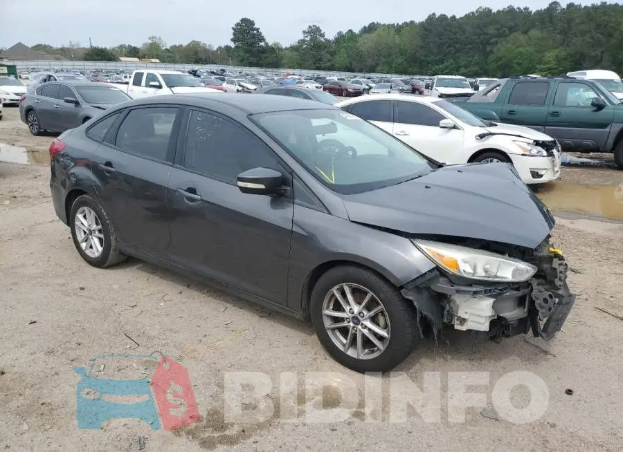 1FADP3F22GL367861 Photo# 4