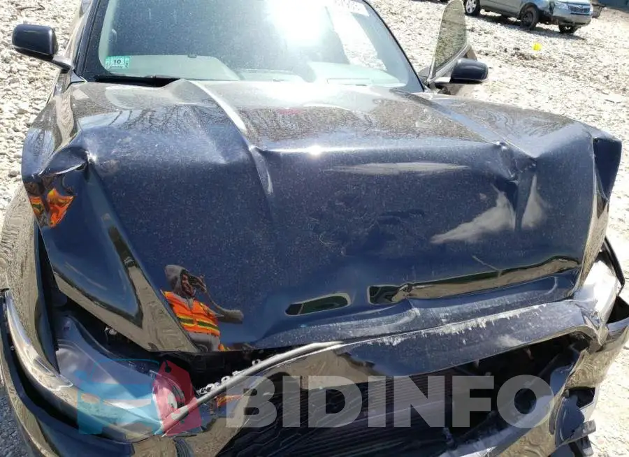 1FATP8UH4G5216167 Photo# 11