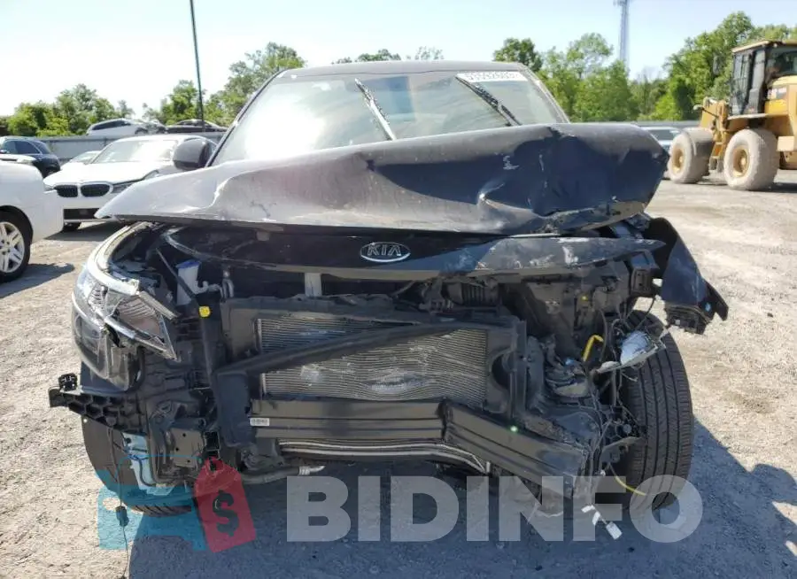 KNDEPCAA0M7167241 Photo# 5