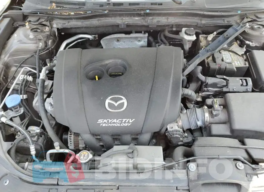 3MZBM1V79GM264900 Photo# 11