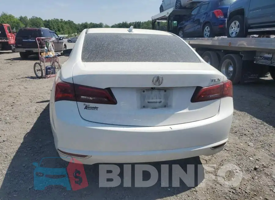 19UUB1F57FA004698 Photo# 6