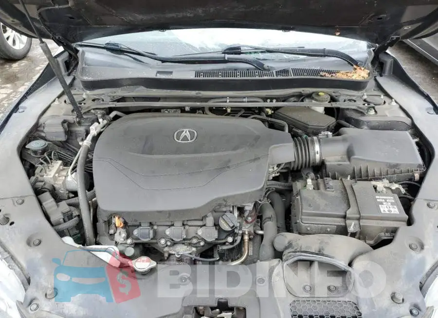 19UUB2F59FA002652 Photo# 11