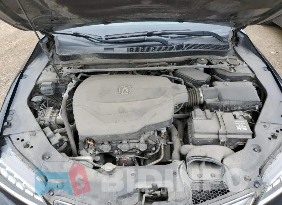 19UUB3F32FA800270 Photo# 11