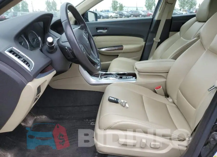 19UUB3F32FA800270 Photo# 7