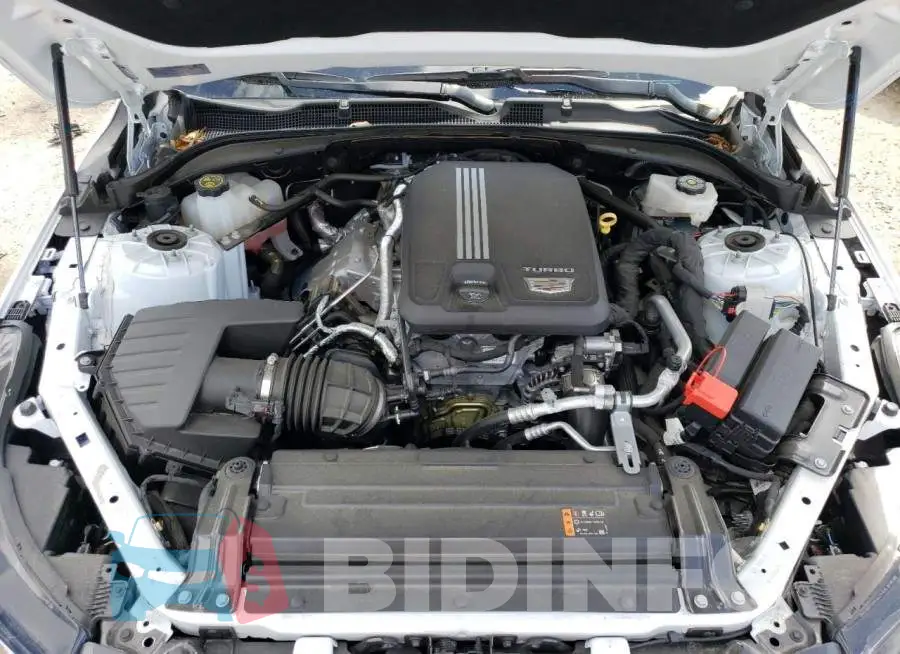 1G6DB5RK6M0143265 Photo# 11