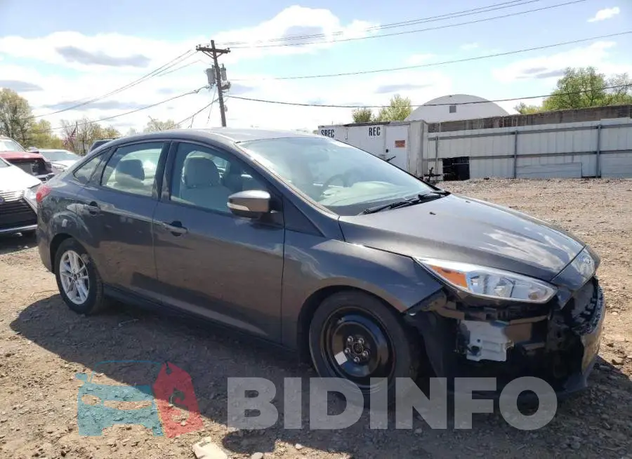 1FADP3F21FL279379 Photo# 4