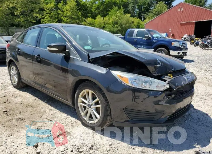 1FADP3F24FL325934 Photo# 4