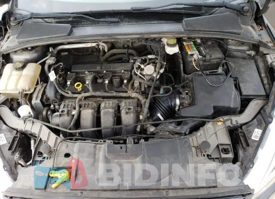 1FADP3F24HL342316 Photo# 11