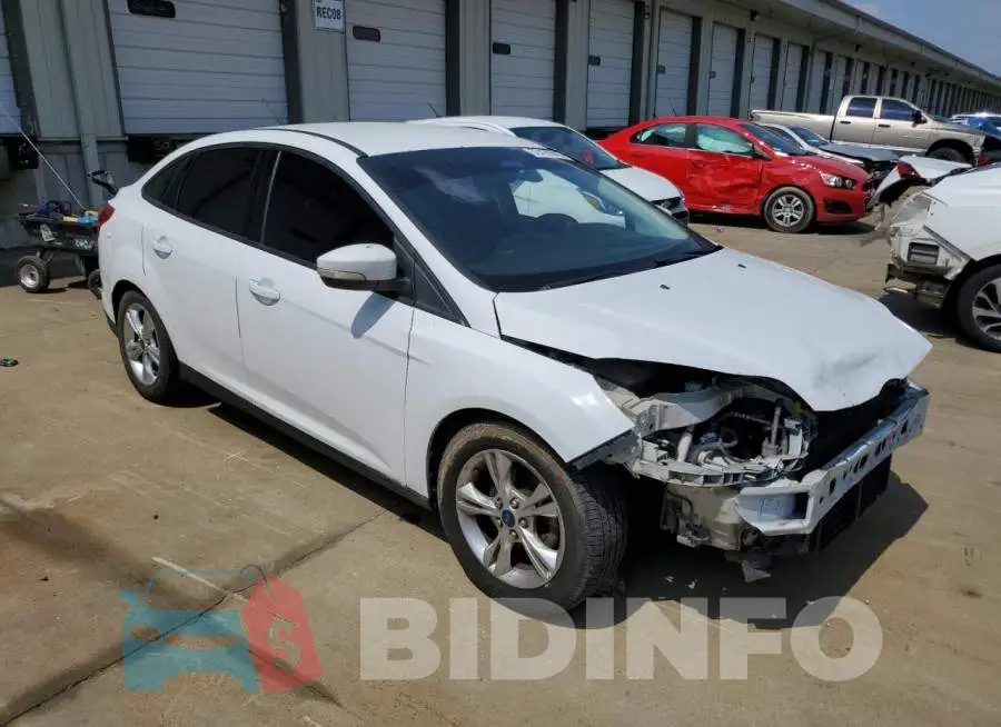1FADP3F29EL179142 Photo# 4