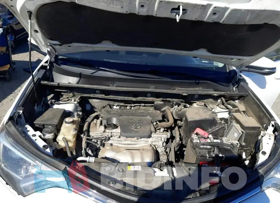 JTMWFREVXJD123347 Photo# 11