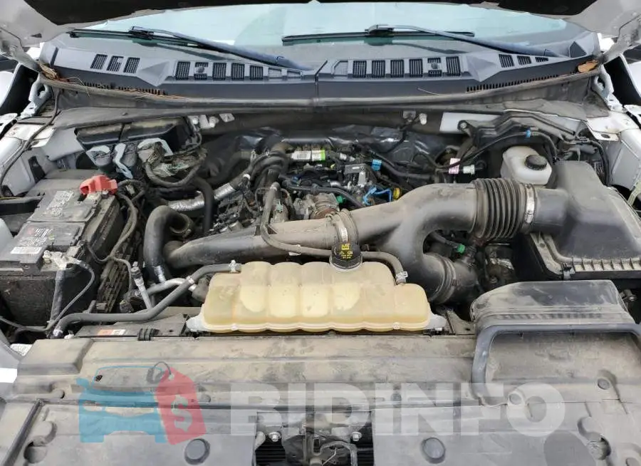 1FTEW1EP8LKE47135 Photo# 11