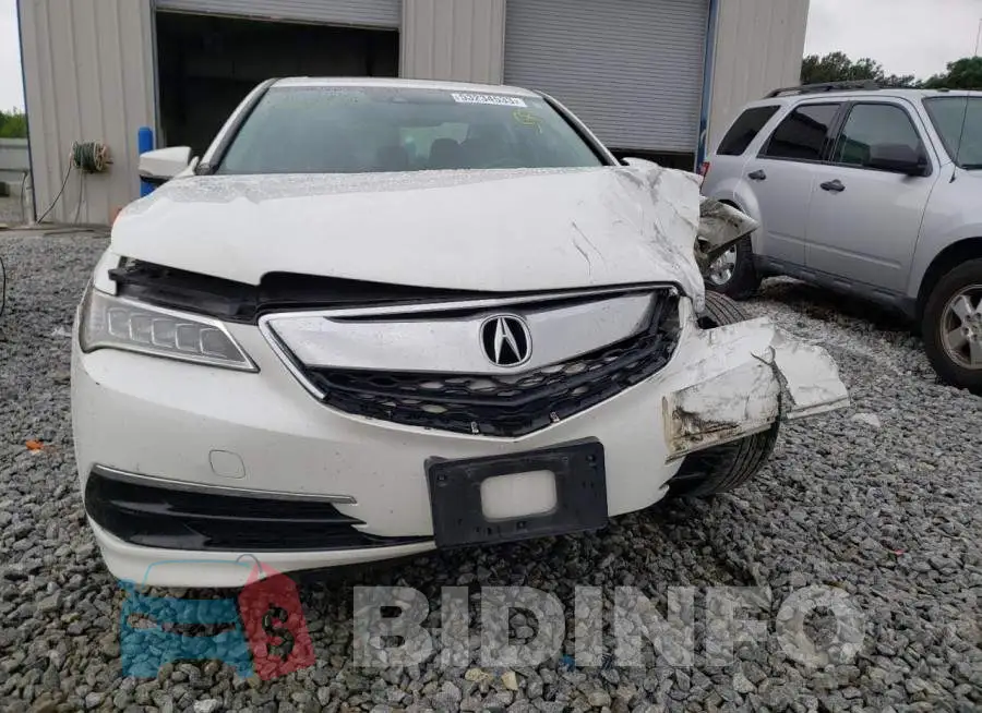 19UUB1F53FA014287 Photo# 11