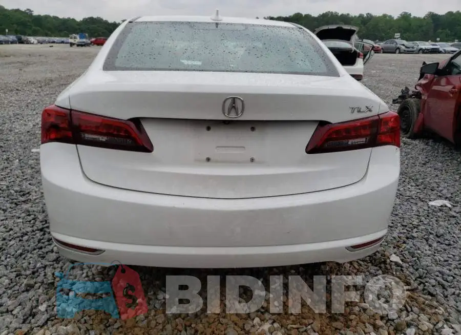 19UUB1F53FA014287 Photo# 6